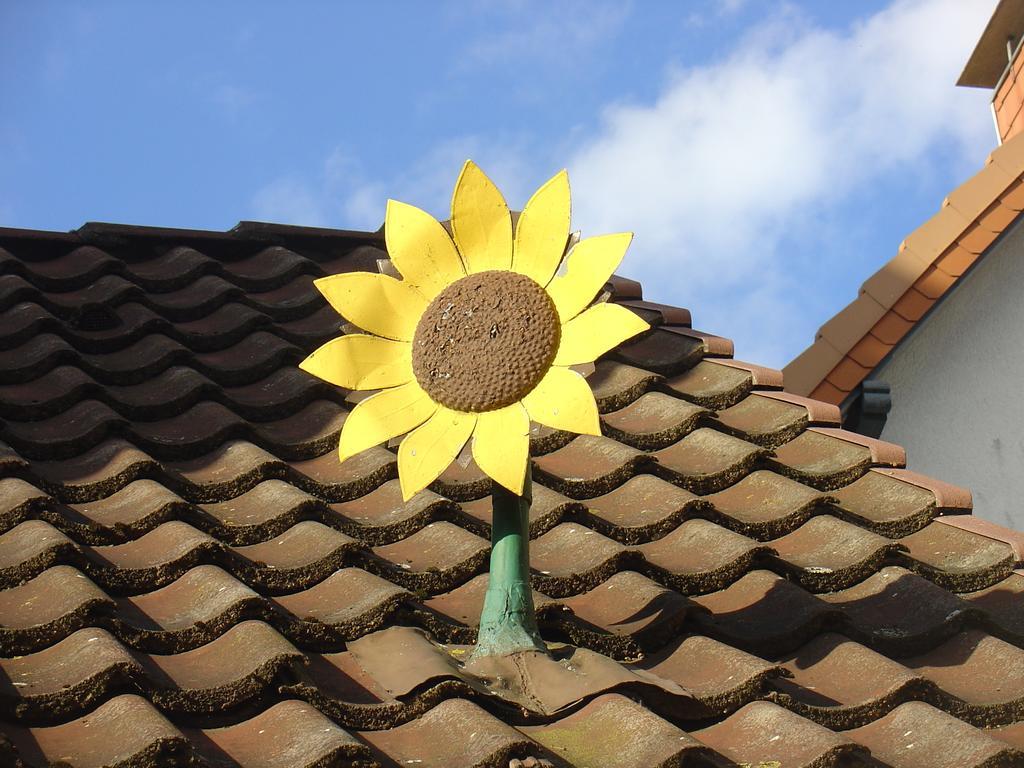 Sonnenblumenhaus